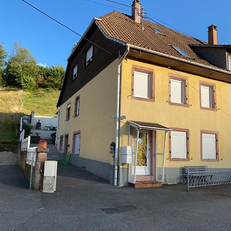 Le Petit St Blaise Apartment Sainte-Marie-aux-Mines Bagian luar foto